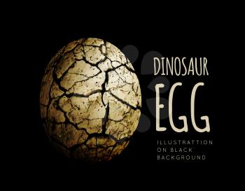 Egg of a dinosaur on a black background. Realistic vector illustration