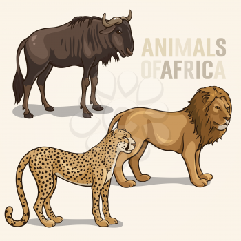 Vector illustrations of african animals isolated on a light background; lion, cheetah, wildebeest