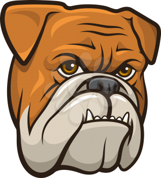 Head of an angry bulldog in cartoon style isolated on white. This vector illustration can be used as a print on T-shirts, tattoo element or other uses