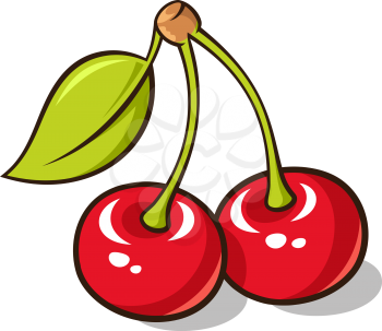 Vector illustration of fresh, ripe cherries with green leaf isolated on white