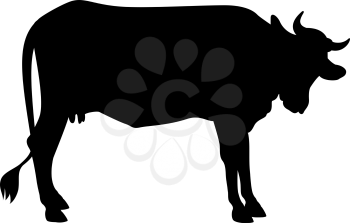 Vector silhouette of a cow isolated on white