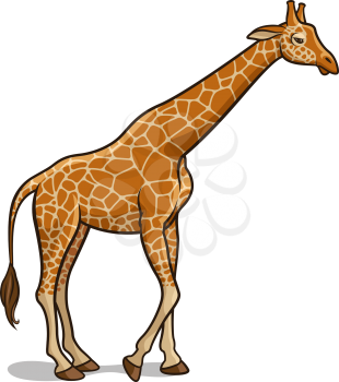 Giraffe in cartoon style isolated on white