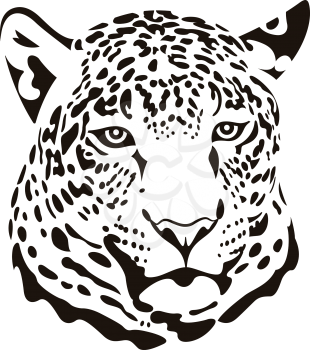 Stylised head of leopard isolated on white. This vector illustration can be used as a print on T-shirts, tattoo element or other uses