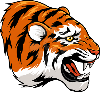 Head of tiger isolated on white. This vector illustration can be used as a print on T-shirts, tattoo element or other uses