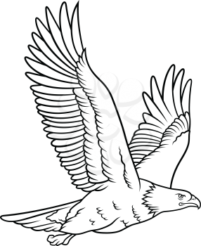 Bald Eagle sketch. This vector illustration can be used as a print on T-shirts, tattoo element or other uses