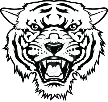 Tiger head, vector illustration. T-shirt graphics