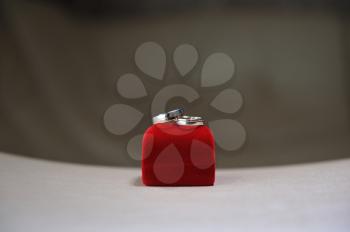 Beautiful wedding rings on a red box