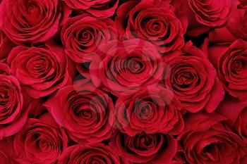 Large bouquet of red roses, close-up. Large bouquet of red roses, close-up, texture background.