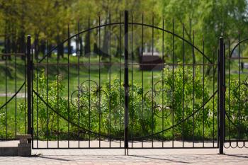 Beautiful forged gate on a background of green plants.