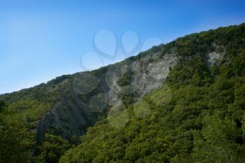 Big mountain covered with trees against the blue sky. Beautiful mountain in the vicinity of Geledzhik