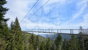 Beautiful landscape with a hanging iron bridge over a coniferous forest in Germany