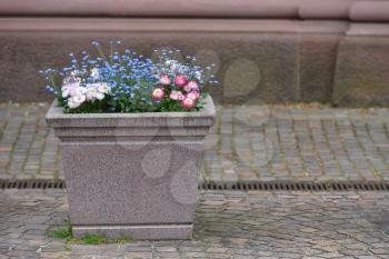 Stone square pot with daisy flowers on a street of a European city