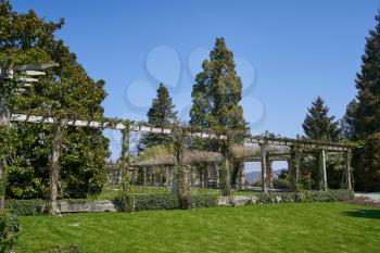 Wooden structure for climbing plant in a picturesque place of the flower island of Mainau