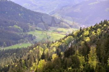 Picturesque European landscape with mixed coniferous and deciduous forest on a background of a mountain valley with houses in the forest Schwarzwald