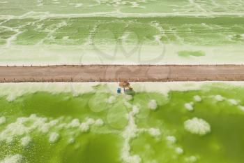 The green saline lake and beach umbrella, natural lake background. Photo in Qinghai, China.