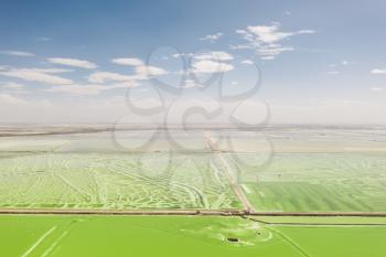 The green saline lake, natural lake background. Photo in Qinghai, China.