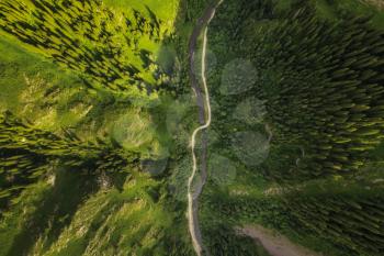 Mountains and forest In an aerial view. Shot in xinjiang, China.