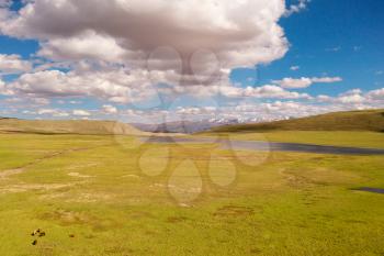 Grassland with blue sky and white clouds. Shot in xinjiang, China.