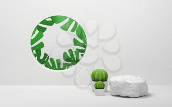 Cactus and monstera with white background , 3d rendering. Computer digital drawing.