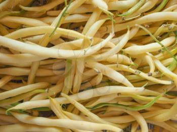 yellow green string snap beans legumes vegetables vegetarian food