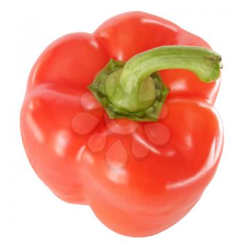 Red pepper isolated over a white background