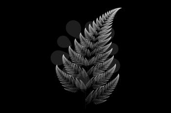 silver Barnsley set fern abstract fractal illustration useful as a background