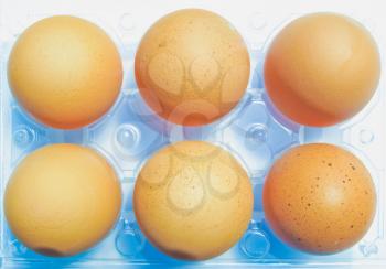 Half dozen eggs in a plastic carton box