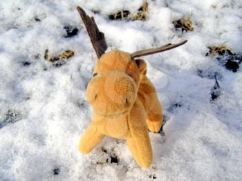 Toy Christmas deer moose in real snow