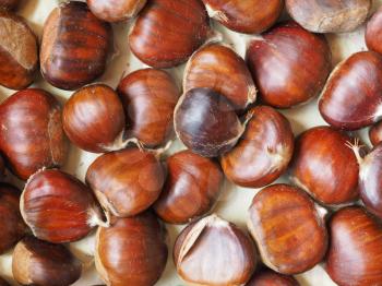 brown chestnuts food useful as a background