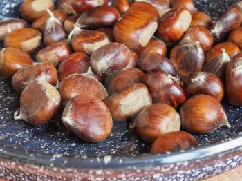chestnuts food in a pan useful as a background