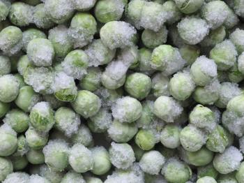 frozen peas (Pisum sativum) legumes vegetables vegetarian food