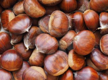 brown chestnuts food useful as a background