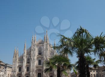 Duomo di Milano (meaning Milan Cathedral) church with palm trees in Milan, Italy