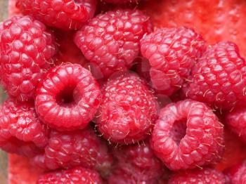 red Raspberry (Rubus Idaeus) fruit vegetarian food background