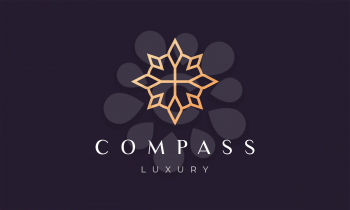 simple compass logo concept with modern and luxury style