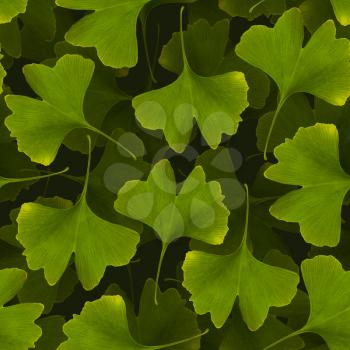Ginkgo biloba seamless pattern. Green leaf medicinal plant background
