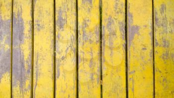 Old yellow wood planks texture. Tree background. Batten