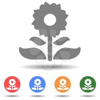 Cosmos flower icon vector in simple style