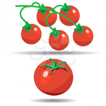 Tomato and tomatoes on a branch vector. Isolated vegetables