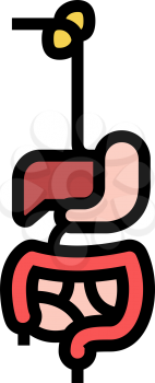 digestive system color icon vector. digestive system sign. isolated symbol illustration