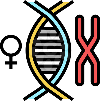 female chromosome genetic color icon vector. female chromosome genetic sign. isolated symbol illustration