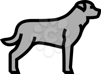rottweiler dog color icon vector. rottweiler dog sign. isolated symbol illustration