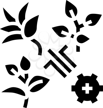 breeding varieties of tea glyph icon vector. breeding varieties of tea sign. isolated contour symbol black illustration