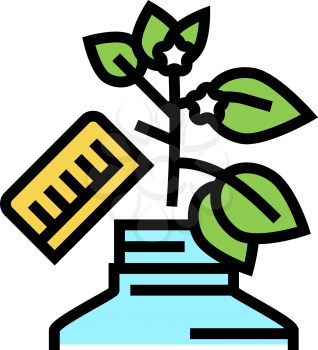 growing homeopathy plant color icon vector. growing homeopathy plant sign. isolated symbol illustration
