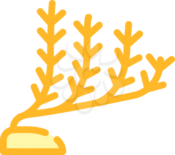 marine seaweed color icon vector. marine seaweed sign. isolated symbol illustration