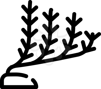 marine seaweed line icon vector. marine seaweed sign. isolated contour symbol black illustration