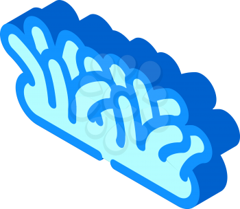 ocean bottom seaweed isometric icon vector. ocean bottom seaweed sign. isolated symbol illustration