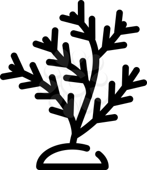 aquatic coral line icon vector. aquatic coral sign. isolated contour symbol black illustration