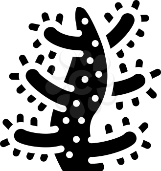 sea aquatic coral glyph icon vector. sea aquatic coral sign. isolated contour symbol black illustration