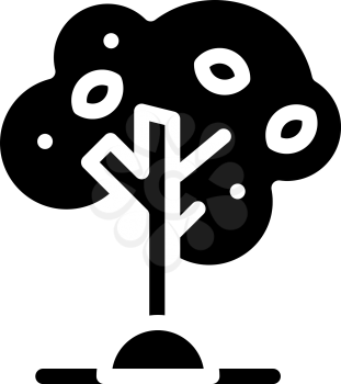 olive tree glyph icon vector. olive tree sign. isolated contour symbol black illustration